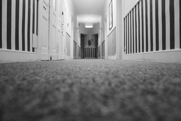 Seattle Washington Carpet Cleaning